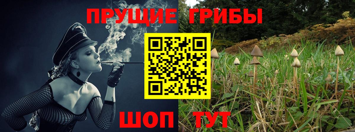 Галлюциногенные грибы ЛСД  сколько стоит  Валуйки  Вход с VPN  Псилоцибиновые грибы MAGIC MUSHROOMS 